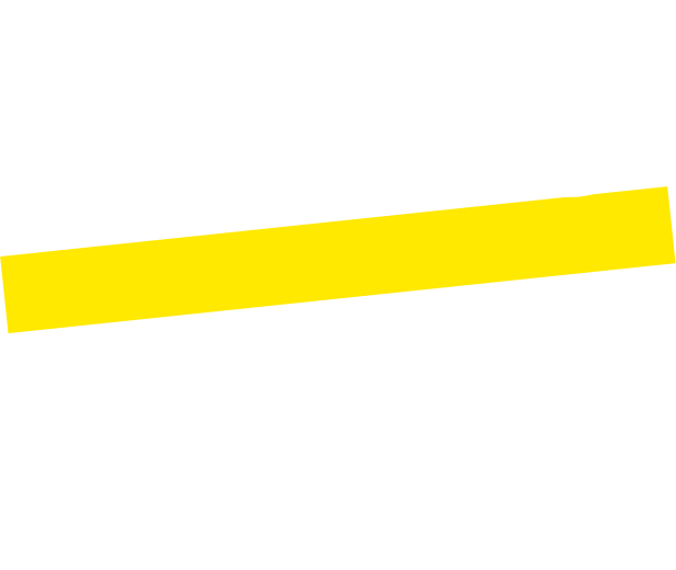 Flevo, parceira GoTo Partner Network